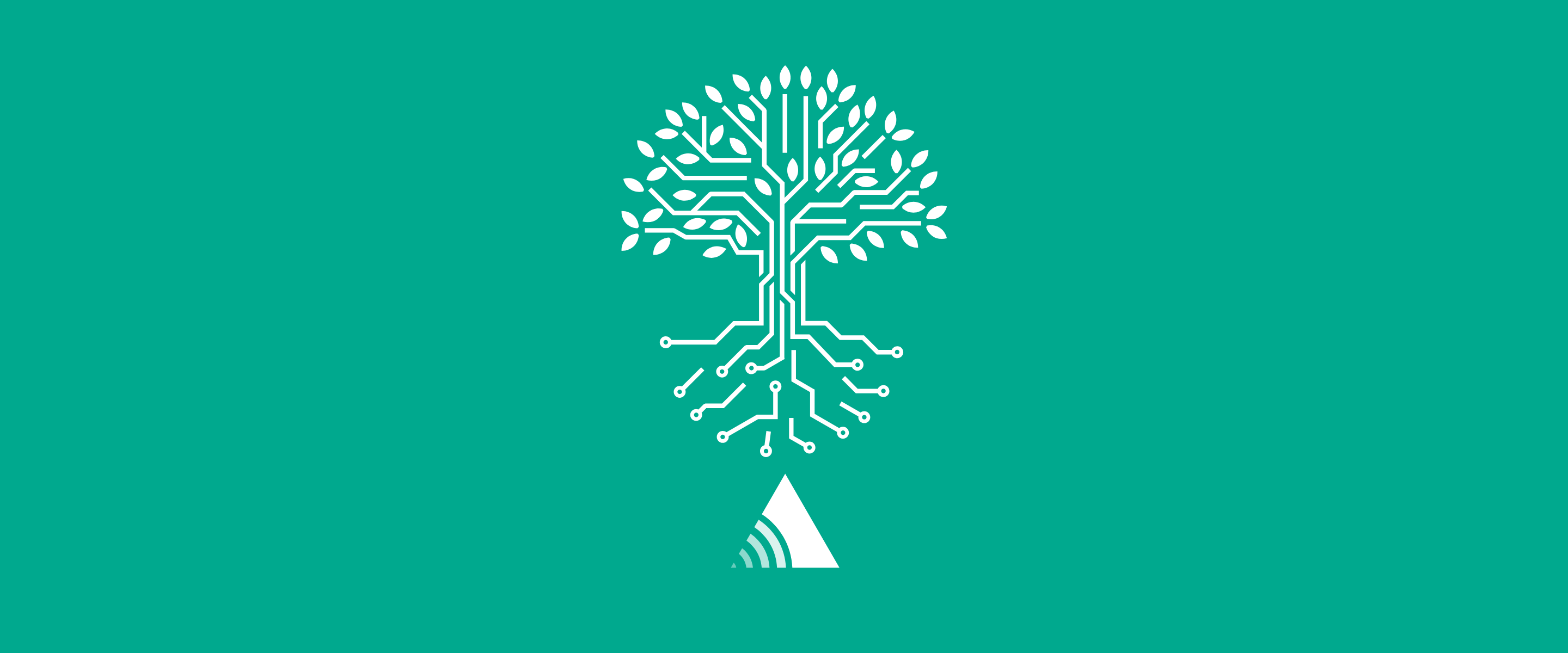 Why We Planted Roots in Red Deer: A Local Approach to World-Class IT